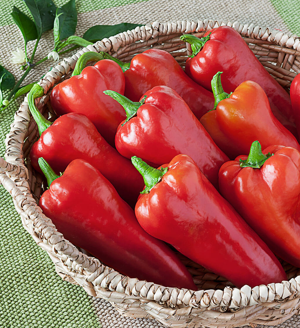 Red Bell Pepper, 41% OFF