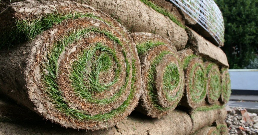 Where to Buy Sod (And How to Save Money Doing It)