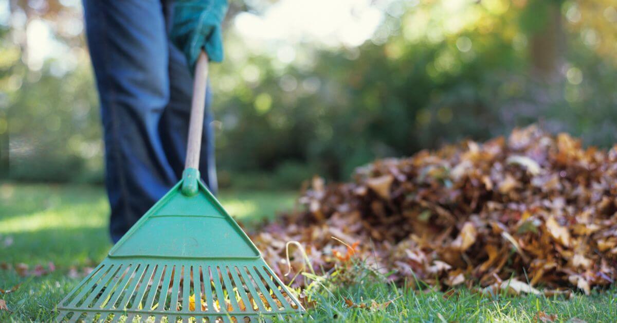 How to Dispose of Yard Waste in an Eco-Friendly Way - EatHappyProject
