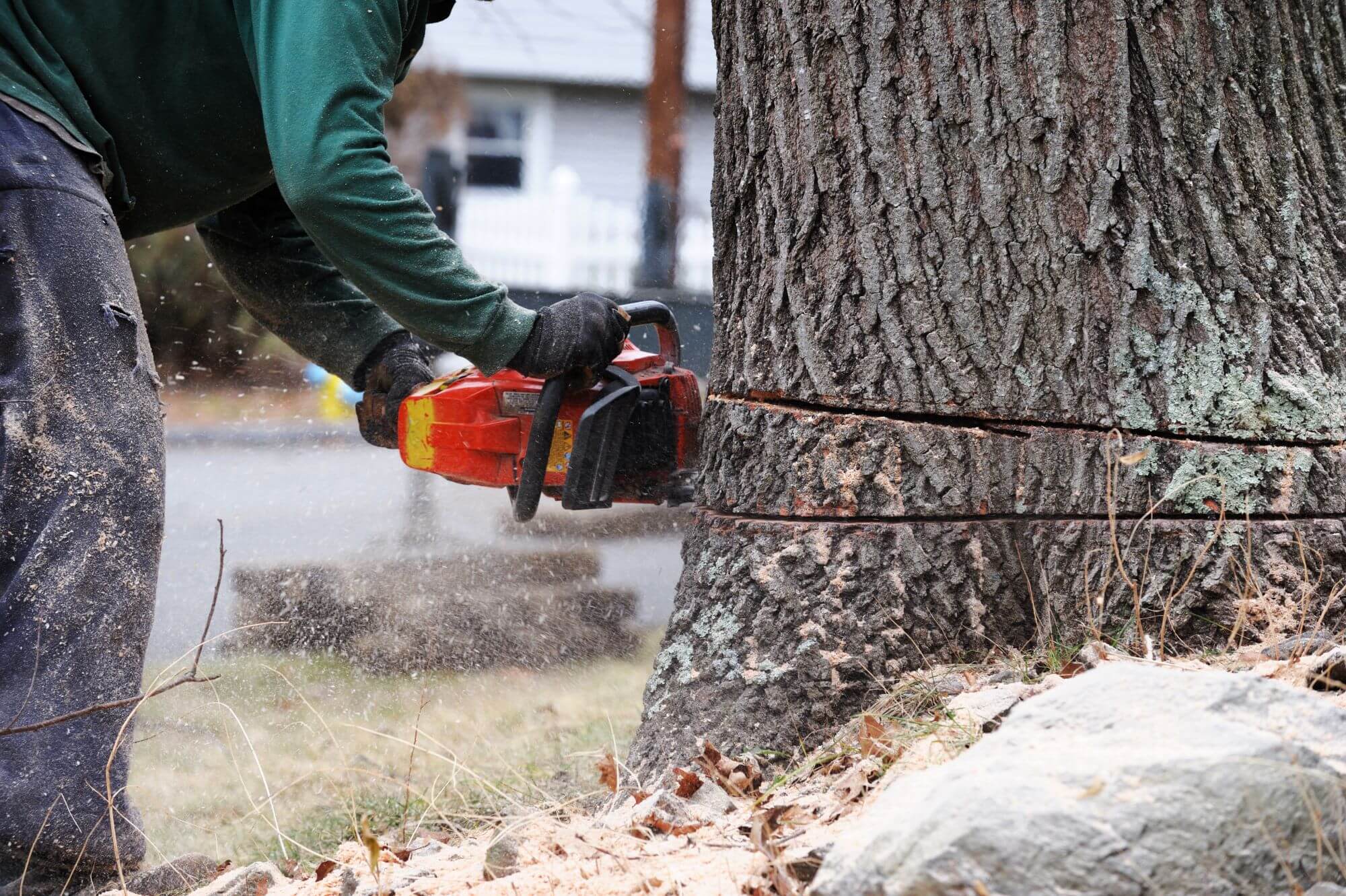 A man cutting tree