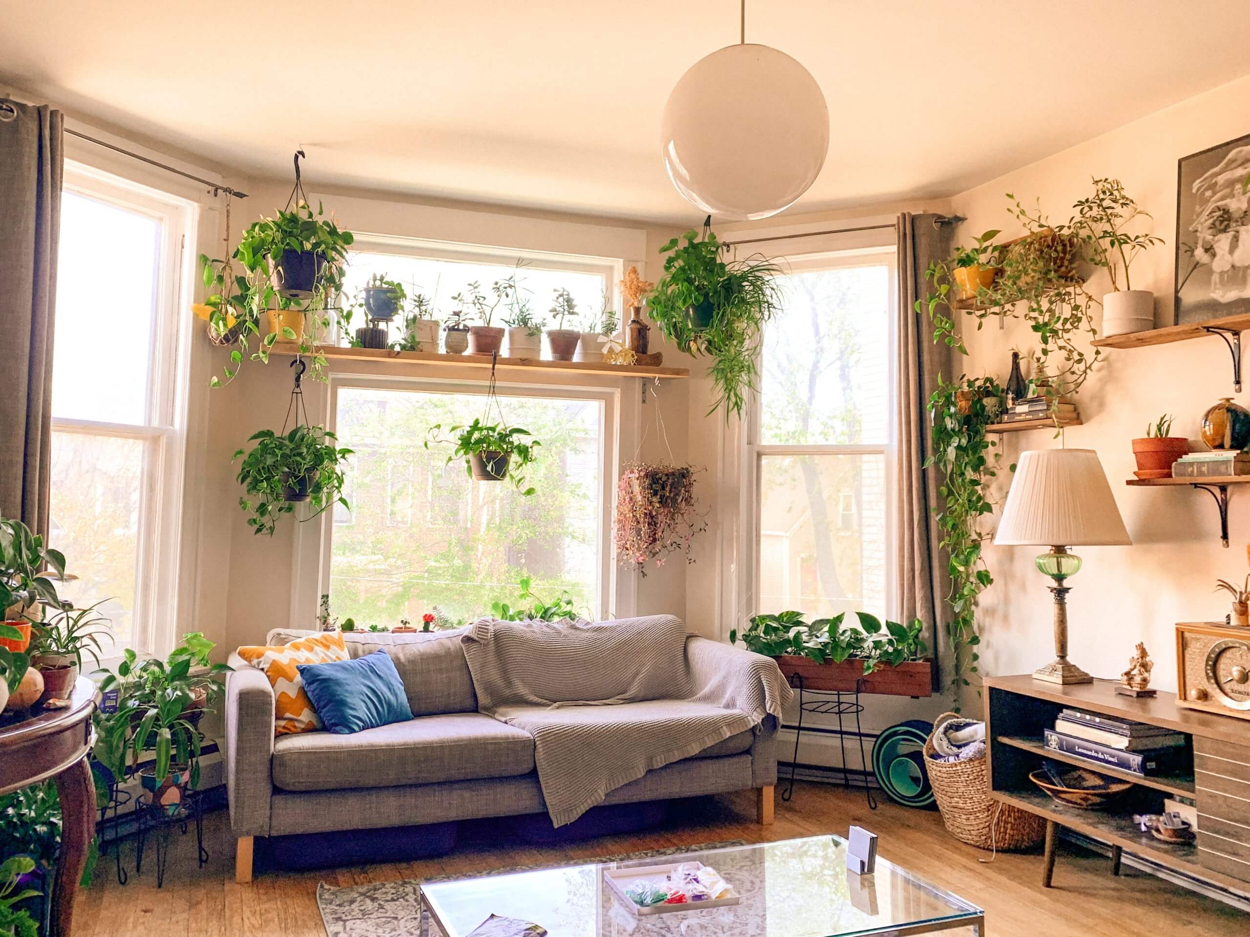Indoor Gardening 101: A Quick and Easy Guide to Get Started
