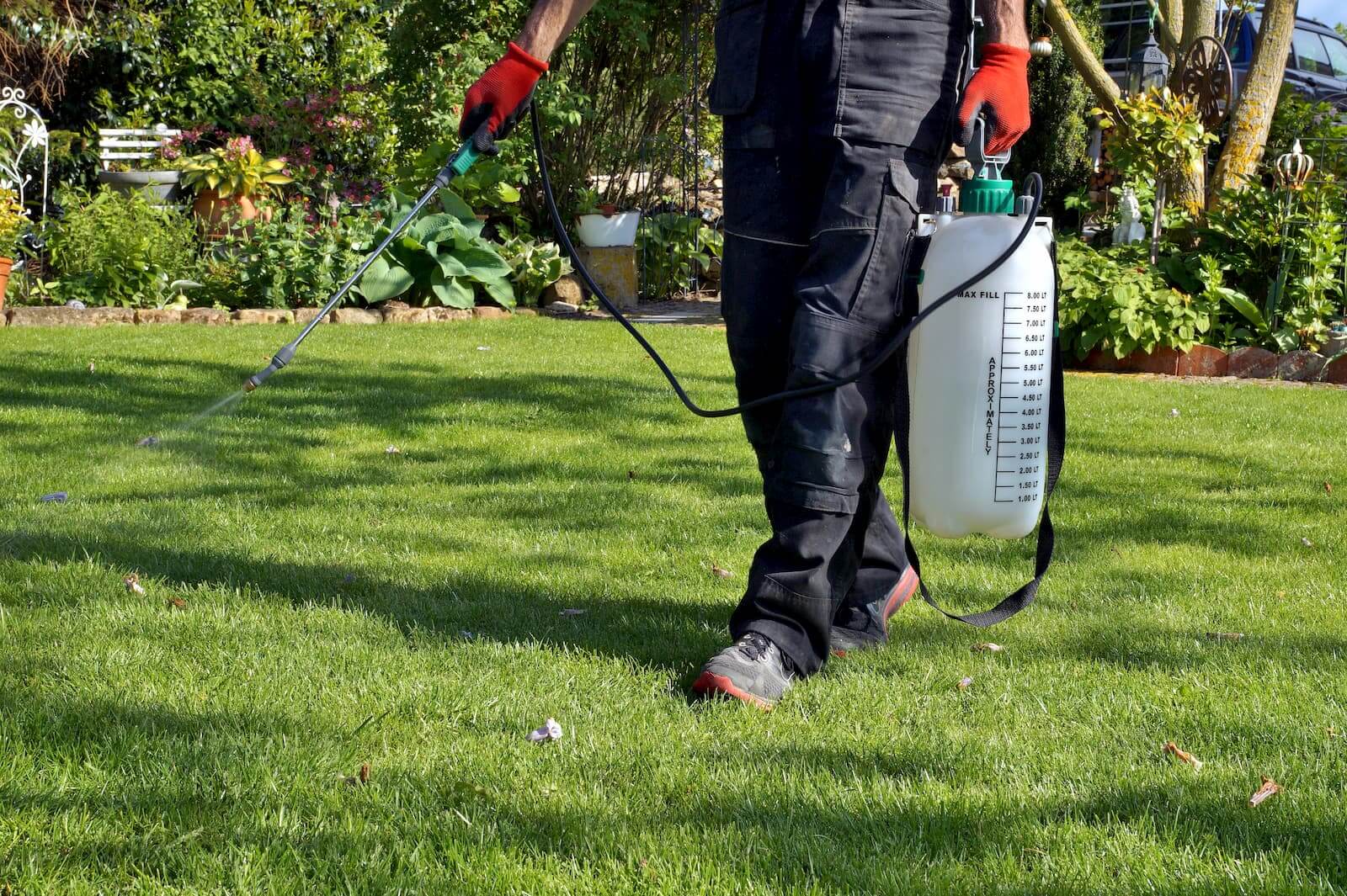 Weed Killer 101: Understanding Different Types and Their Effectiveness