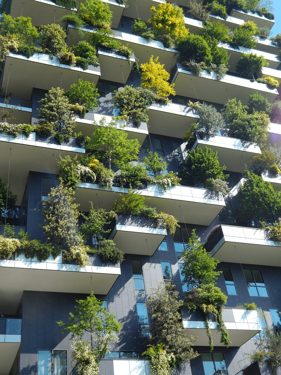 Everything Developers Need to Know to Build A Sustainable Condo