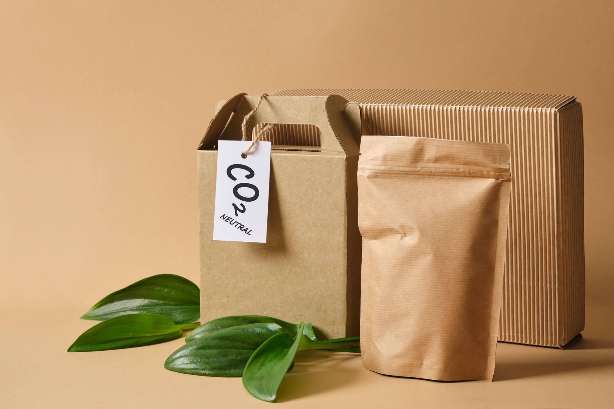 9 New Trends And Advancements In Sustainable Product Packaging