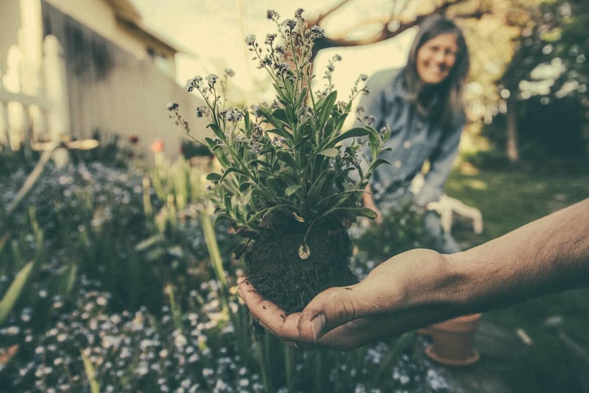 Sprouting Joy: Four Ways to Have Fun While Gardening