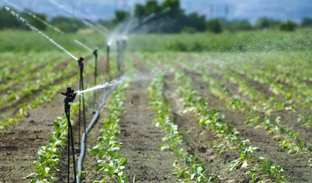 Engineering Sustainable Irrigation Systems: Saving Water in Agriculture