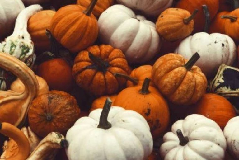 8 Ways to Celebrate Fall at Home