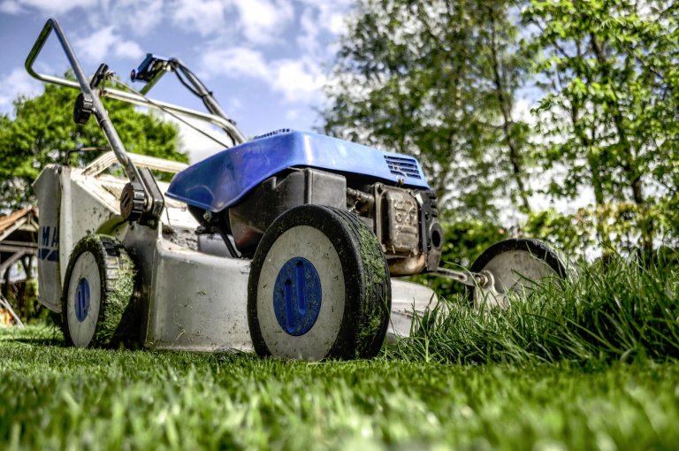 how to start own lawn care business 6 tips to know