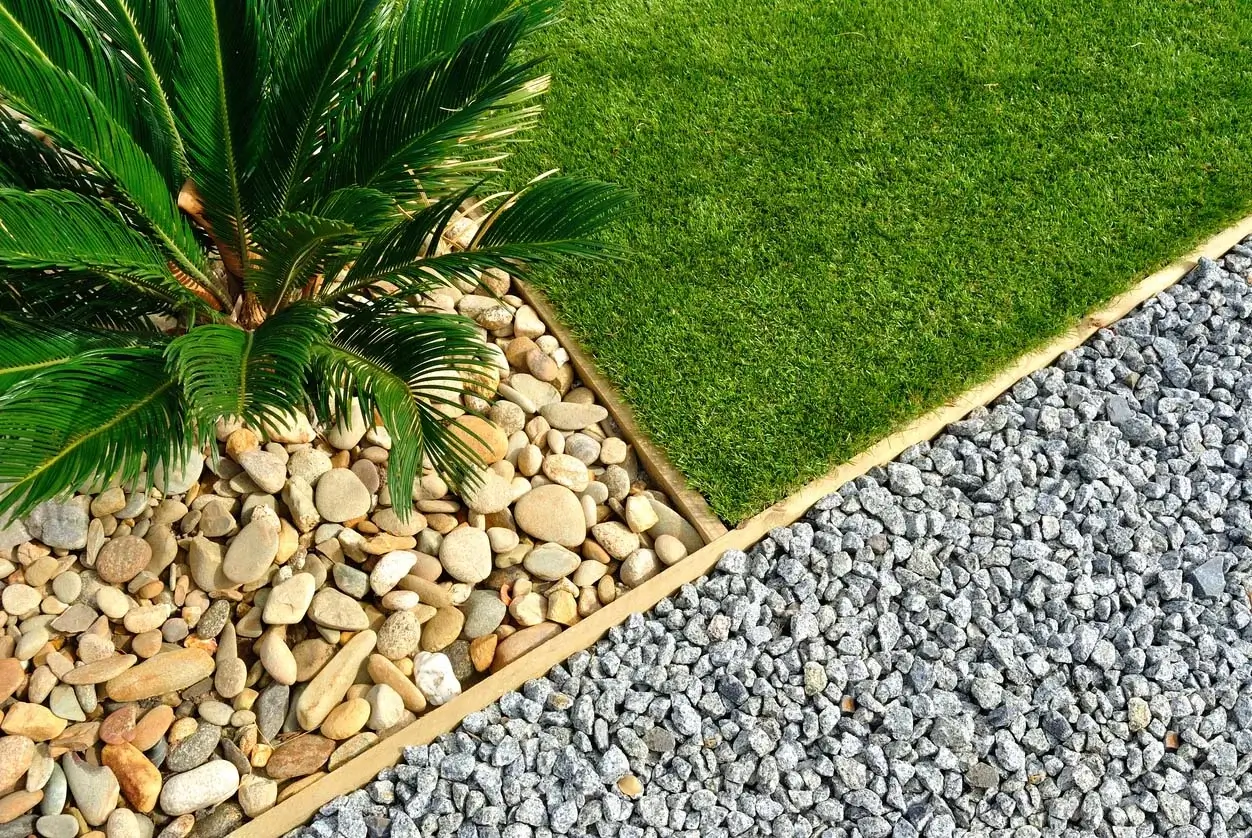 A compacted grassy area with rocks and a palm tree