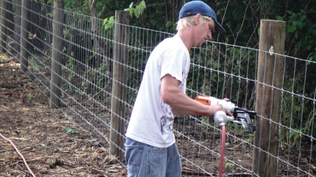 A man efficiently cuts a fence using a power tool. Affordable and Effective Fences.