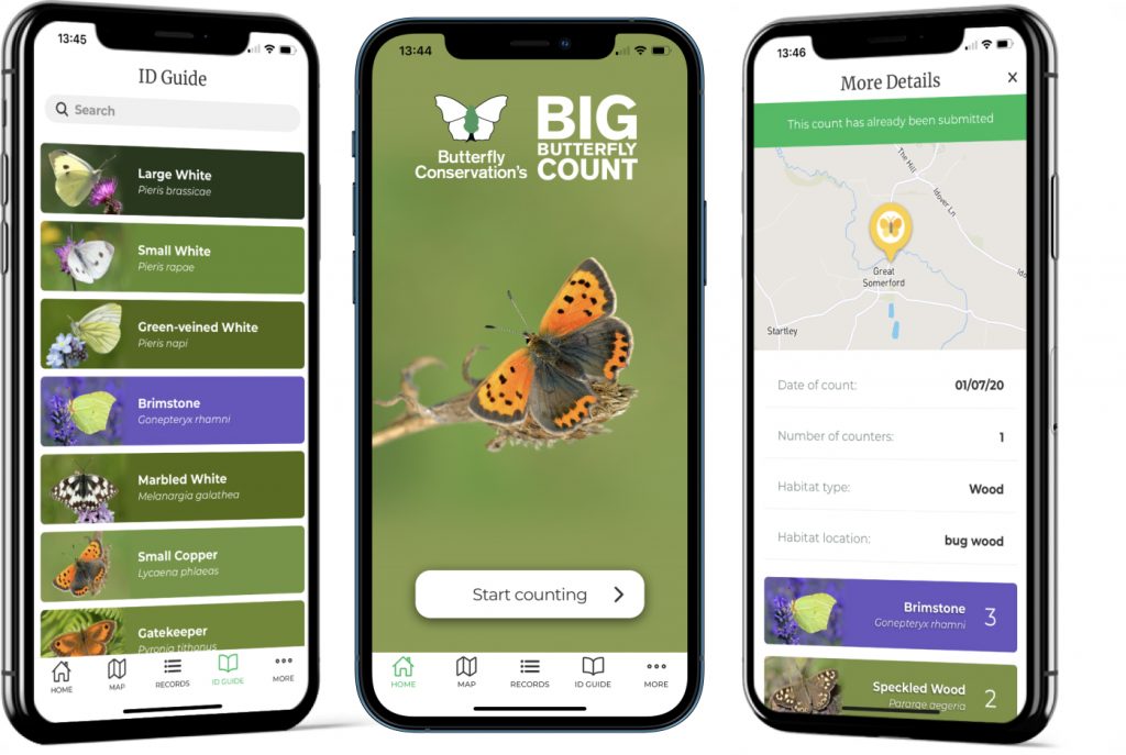 Mobile app interface displaying the Big Butterfly Count logo and features.
