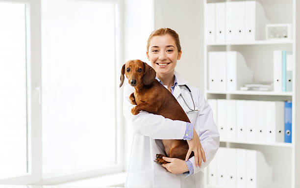 A woman in a white lab coat holding a dog, providing diagnosis and treatment