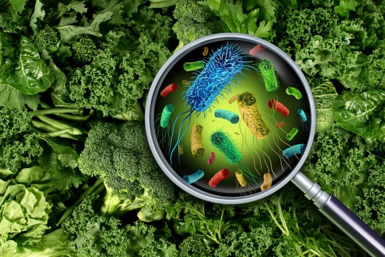 Magnifying glass reveals intricate details of green vegetables and bacteria