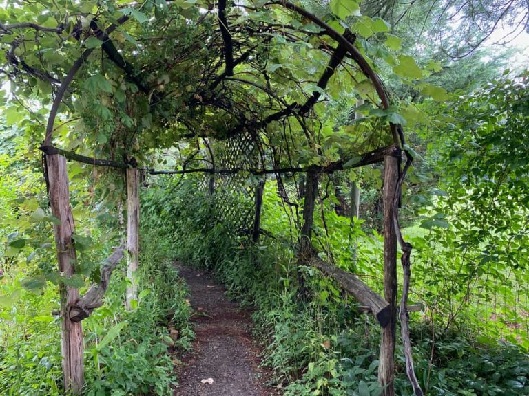 An old wooden archway stands in a garden, inviting visitors to pass through. It adds charm and character to the surroundings