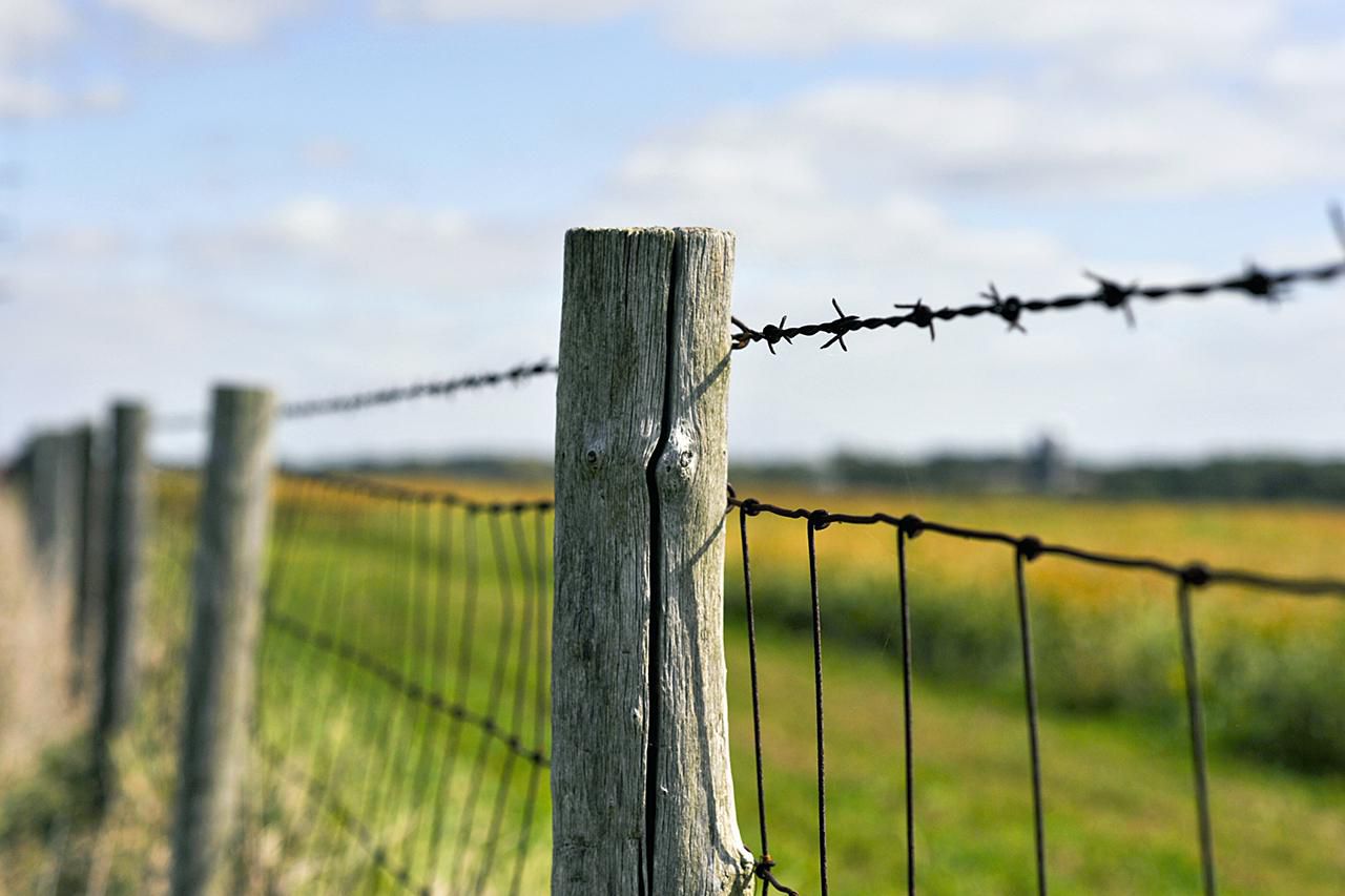 A cost-effective farm fence with barbed wire on the side, providing security and protection.