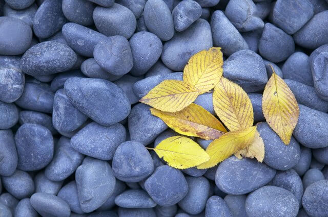 A pile of rocks with a yellow leaf on top. Order Extra for Flexibility.