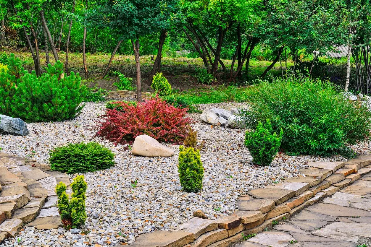 A stone path winding through a garden with rocks and plants