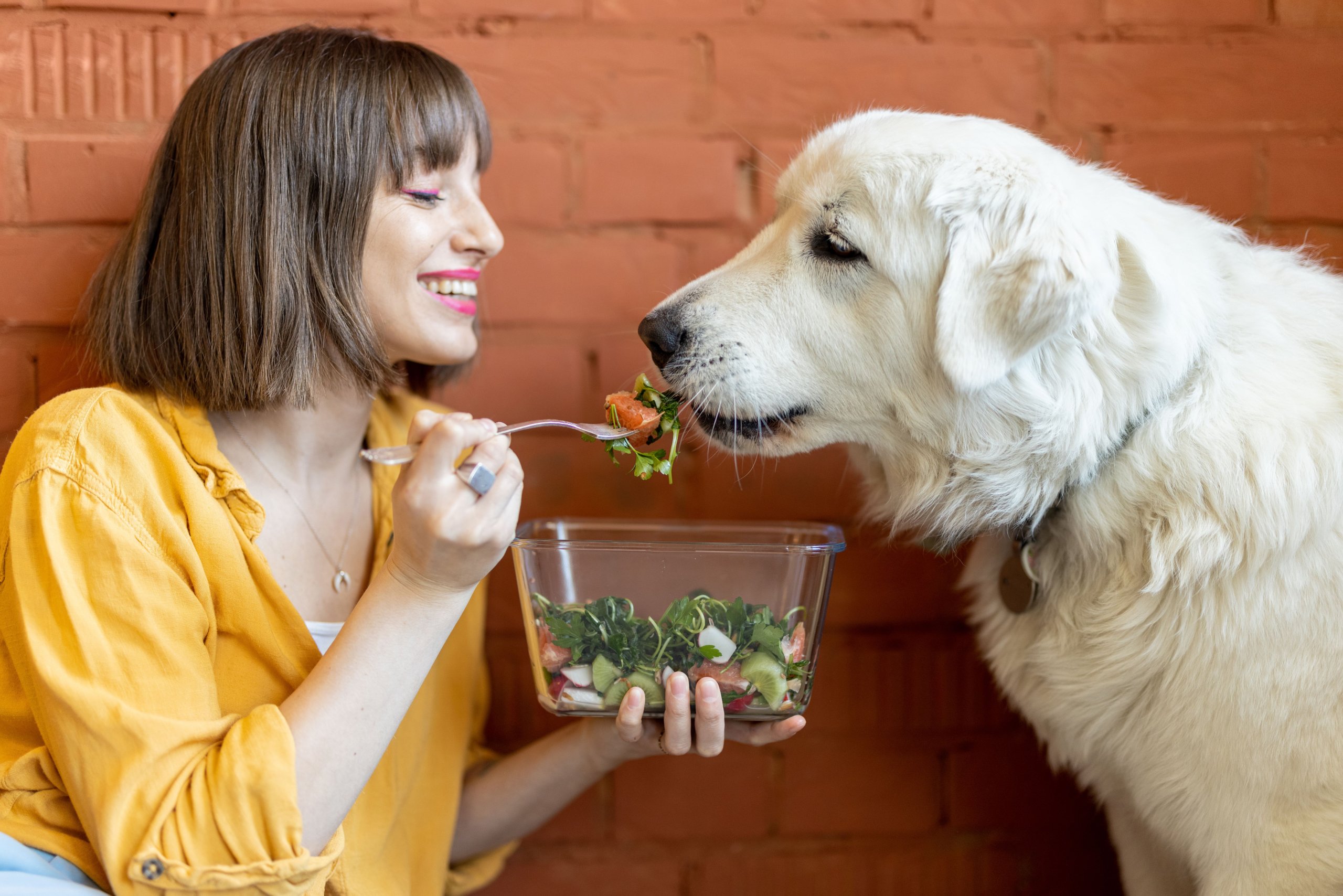 A woman named Rosemary feeding a dog a bowl of food