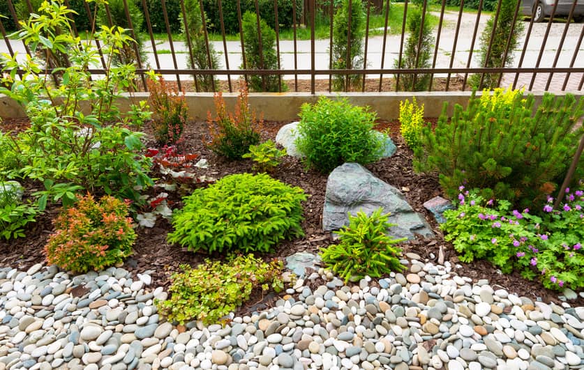 A gravel garden with diverse plants and rocks, providing a serene and natural landscape