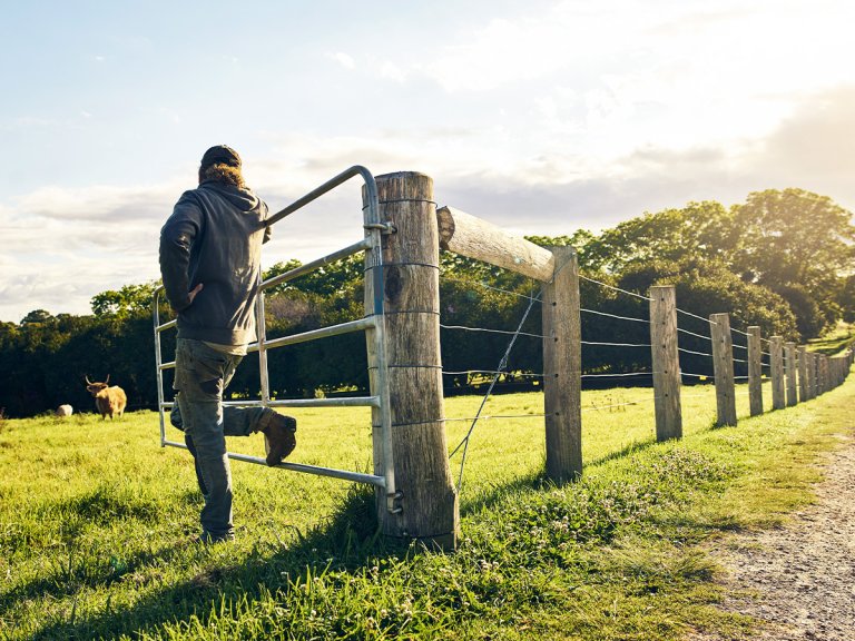 A man walking along a fence line in a field, exploring the most affordable fencing option