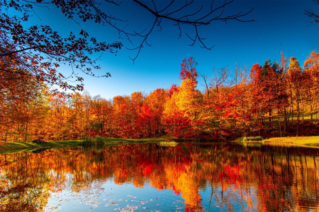 Autumn trees reflecting in a serene lake, showcasing nature's vibrant transformation during fall