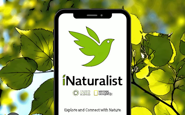 A mobile app called iNaturalist that allows users to explore and connect with nature