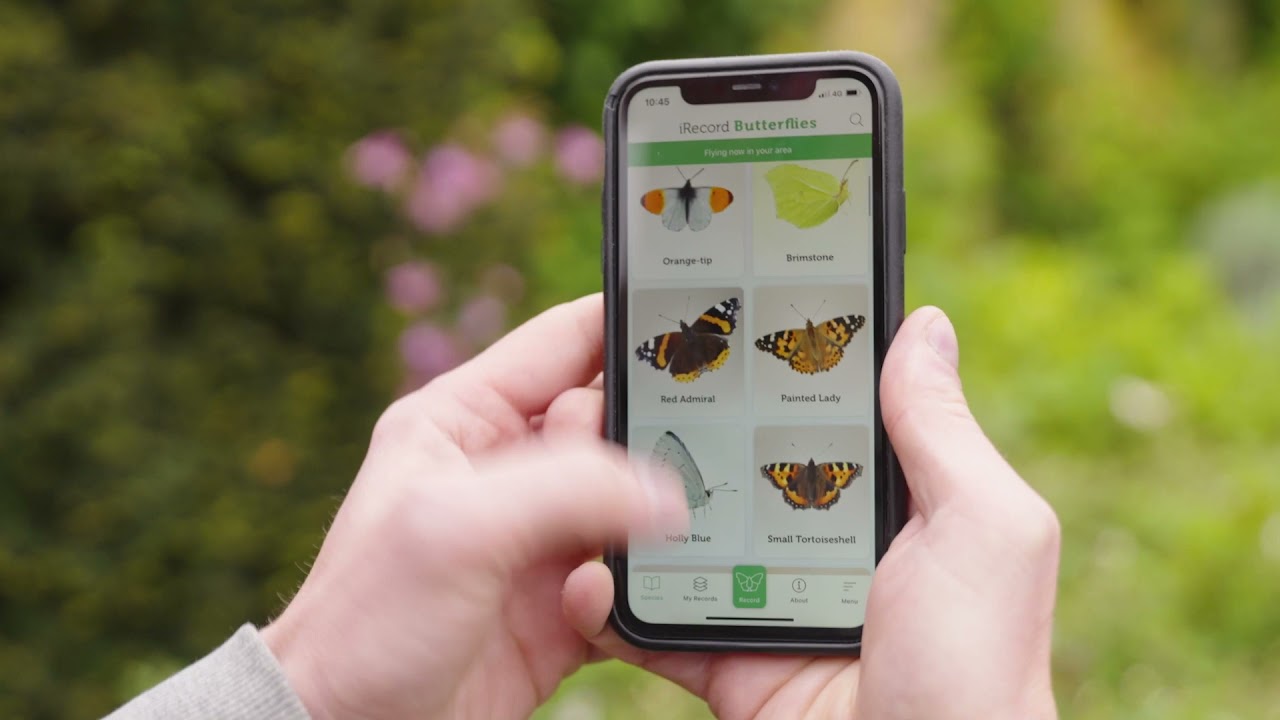 iRecord Butterflies: A mobile app for butterfly enthusiasts to record and share their sightings