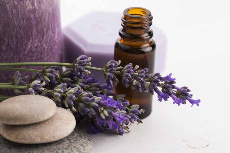Essential Oils to Repel Fleas on Humans