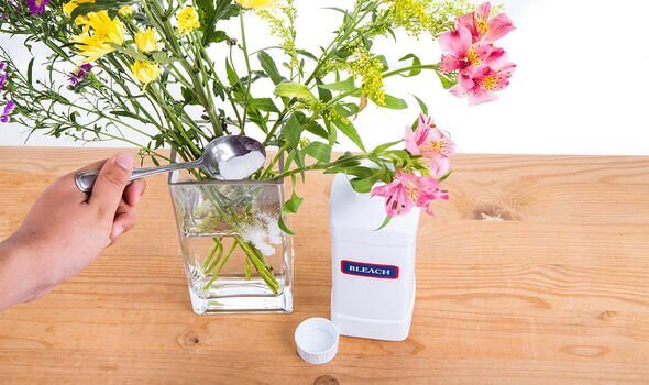 How to make flowers last longer Why bleach could be the surprising secret ingredient