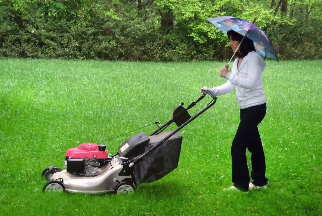 Woman using umbrella while mowing grass.
