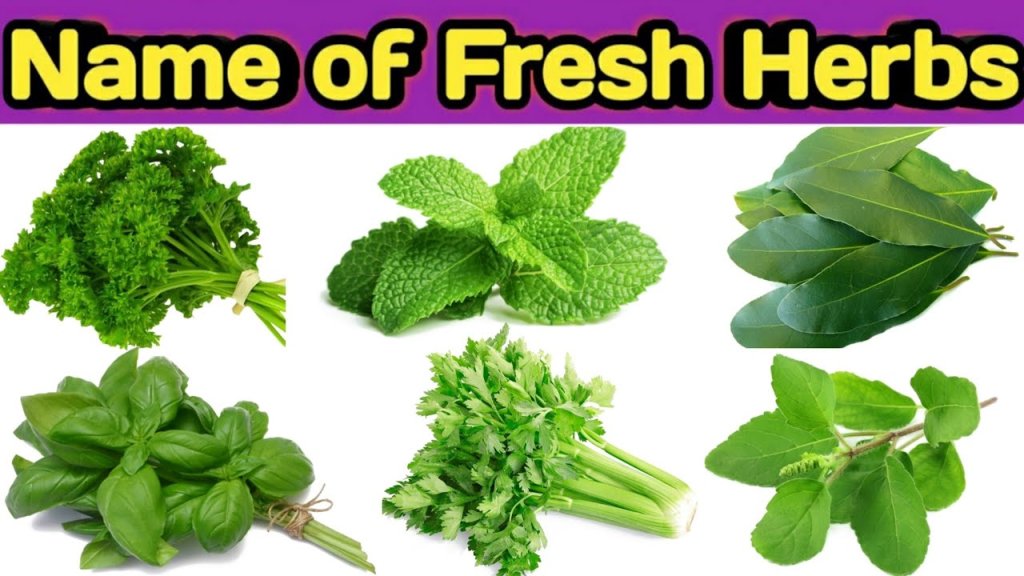 A variety of fresh herbs labeled with their names, showcasing their vibrant colors and textures