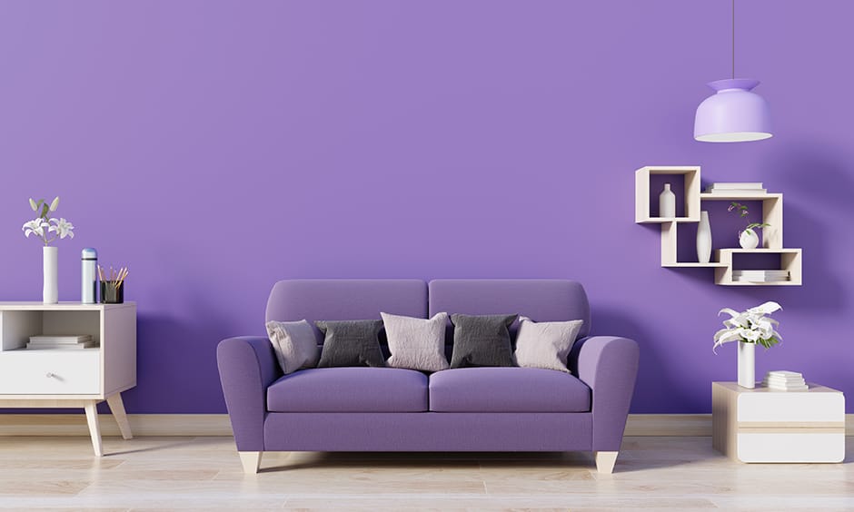 a purple wall behind a purple couch