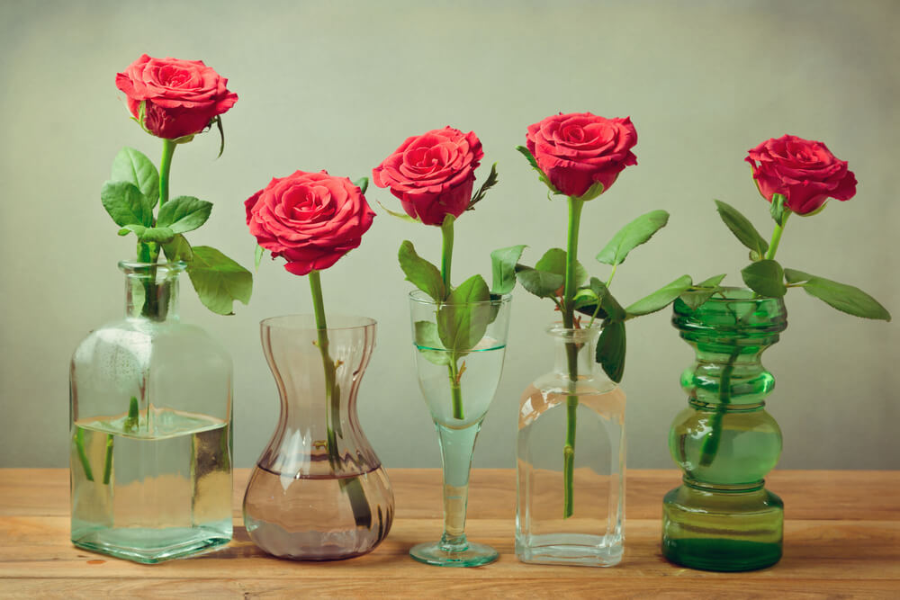 four roses kept in different glass flower vases