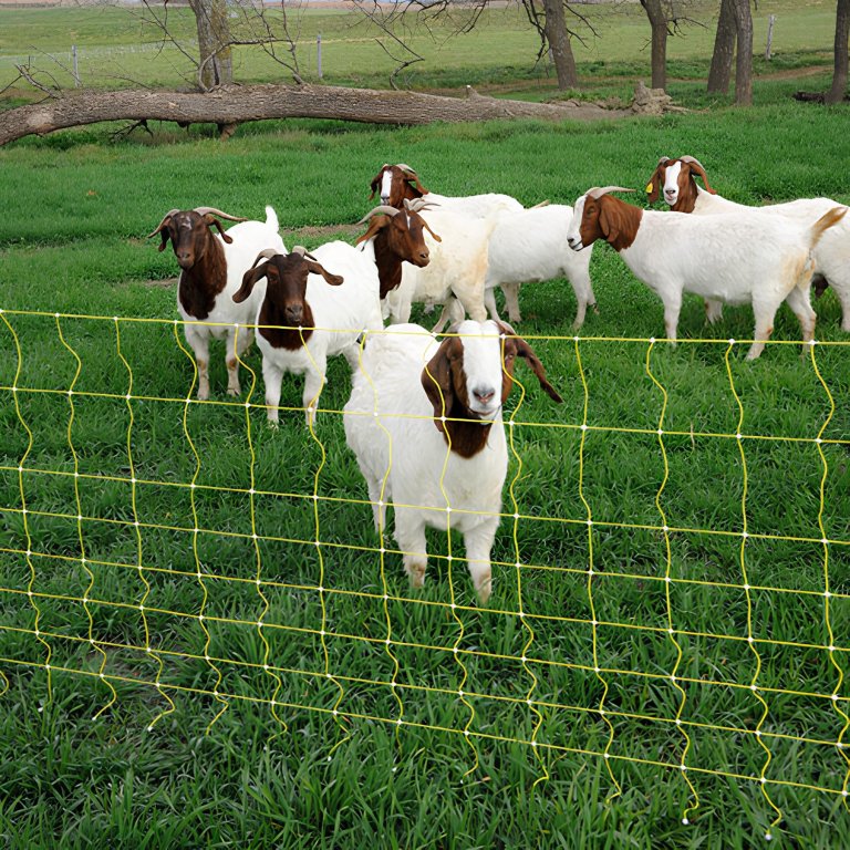 how many strands of electric fence for goats