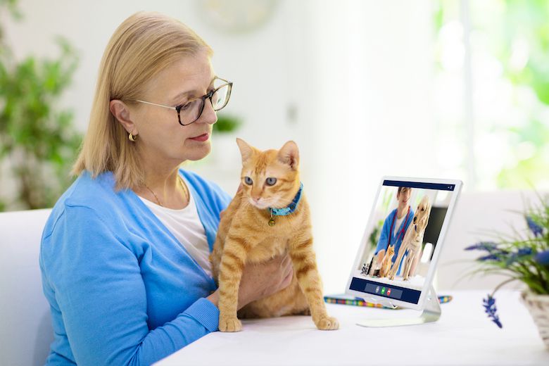 woman holding her cat and consulting the vet on a video chat