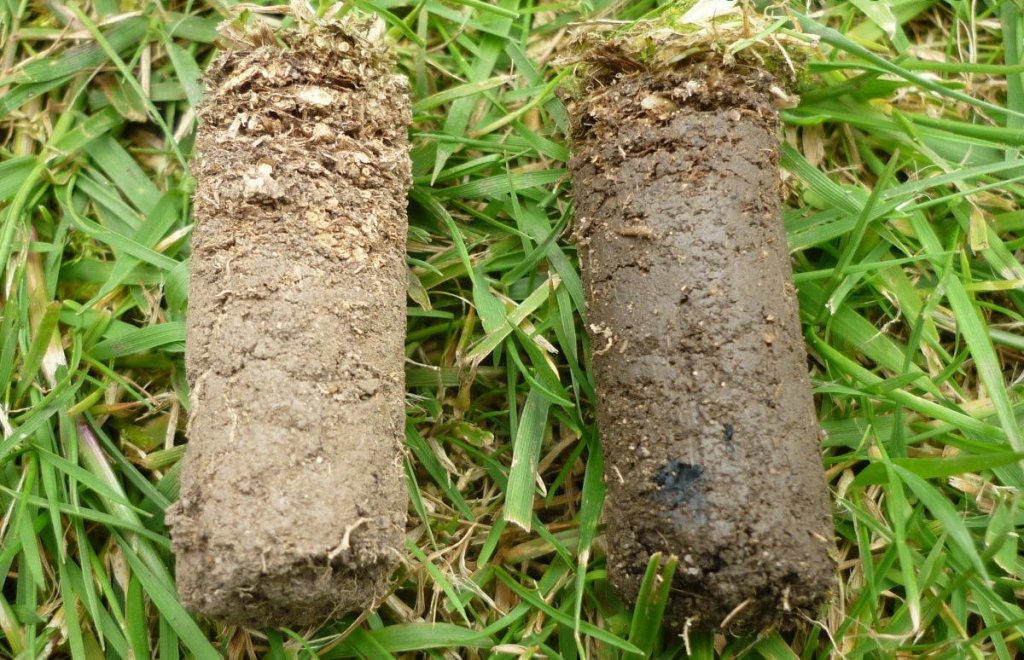 Soil Compaction