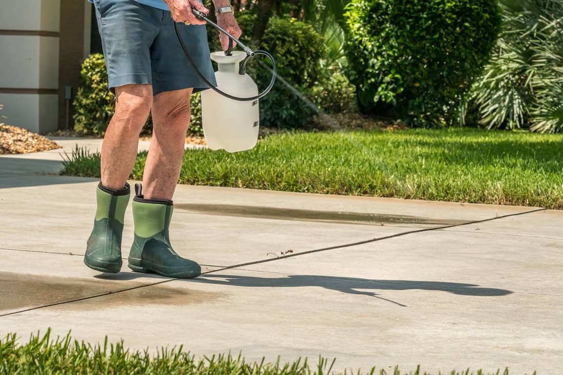 How to Clean Sidewalk without Killing Grass EatHappyProject