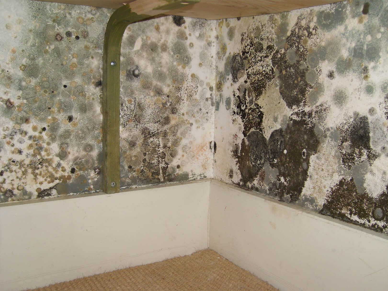 What Causes Mold on Walls in Bedroom EatHappyProject