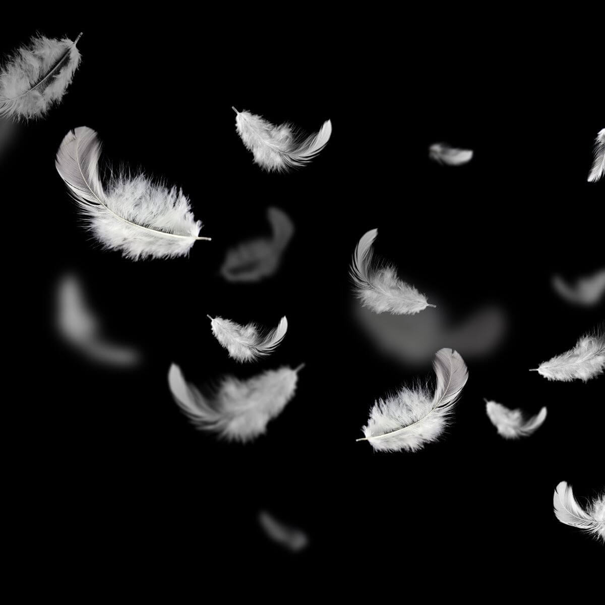 What Does the Color Black Mean Spiritually EatHappyProject