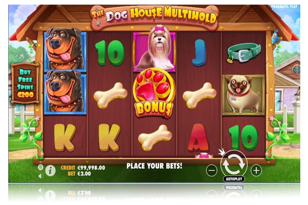 Fluffy Favourites: The Best Slots Games Inspired by Animals