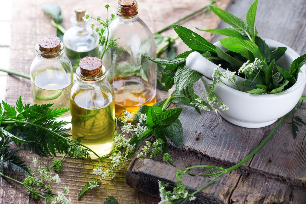 Harnessing the Power of Herbal Remedies