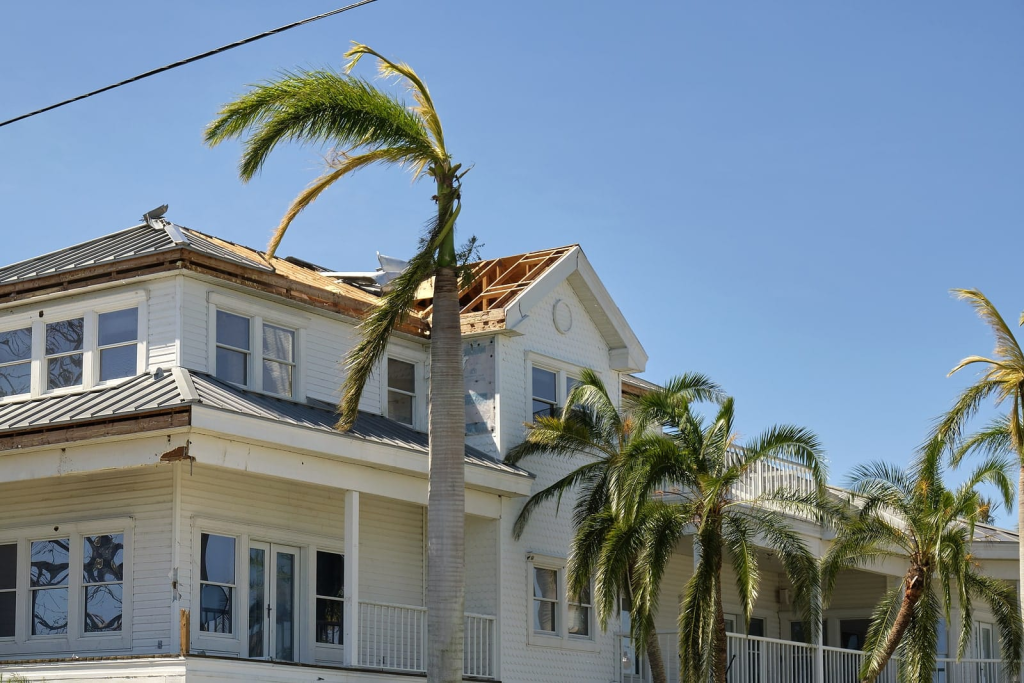 hurricane damage attorney