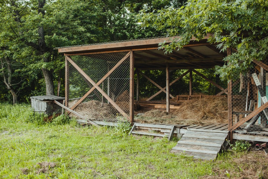 Setting Up Animal Feeding Station for Backyard Farm